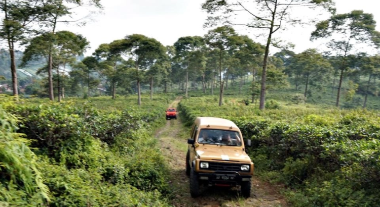 Suasana Wisata Kemuning Jeep Tour: Petualangan yang Tak Terlupakan di Alam