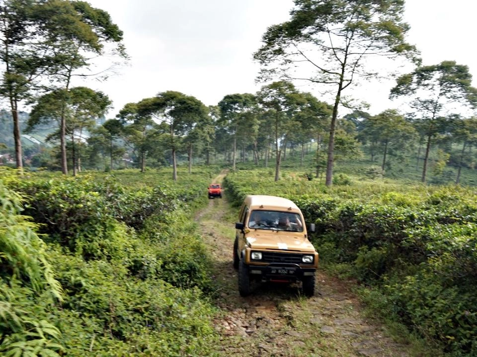 Suasana Wisata Kemuning Jeep Tour: Petualangan yang Tak Terlupakan di Alam